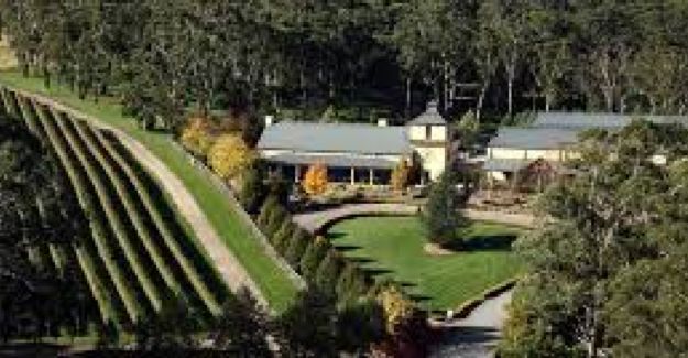 south wineries