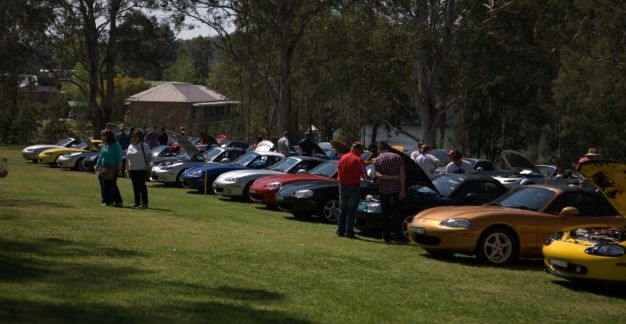 Cars on display for Concours & Bits 'n' Bling at the 2013 President's Picnic